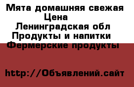 Мята домашняя свежая  › Цена ­ 150 - Ленинградская обл. Продукты и напитки » Фермерские продукты   